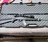 Ruger Stainless Steel 10/22