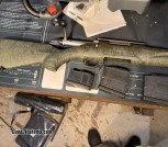 Ruger American Gen II Predator 6mm