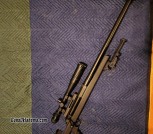 Armalite AR50